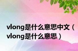 vlong是什么意思中文（vlong是什么意思）