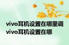 vivo耳机设置在哪里调 vivo耳机设置在哪