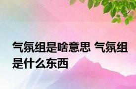 气氛组是啥意思 气氛组是什么东西