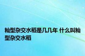 籼型杂交水稻是几几年 什么叫籼型杂交水稻