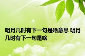 明月几时有下一句是啥意思 明月几时有下一句是啥