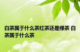 白茶属于什么茶红茶还是绿茶 白茶属于什么茶