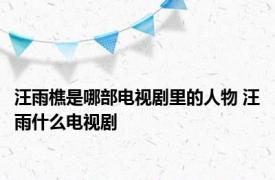 汪雨樵是哪部电视剧里的人物 汪雨什么电视剧