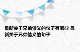 最新关于兄弟情义的句子有哪些 最新关于兄弟情义的句子