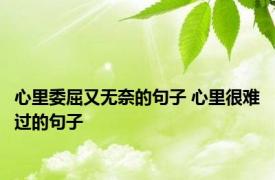 心里委屈又无奈的句子 心里很难过的句子