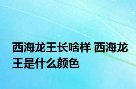 西海龙王长啥样 西海龙王是什么颜色