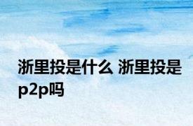 浙里投是什么 浙里投是p2p吗