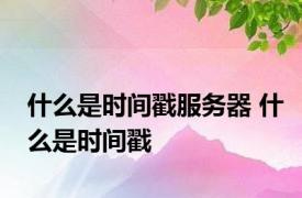 什么是时间戳服务器 什么是时间戳