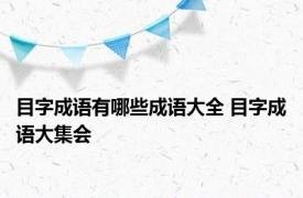 目字成语有哪些成语大全 目字成语大集会