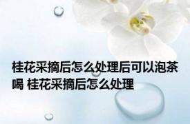 桂花采摘后怎么处理后可以泡茶喝 桂花采摘后怎么处理