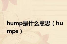 hump是什么意思（humps）