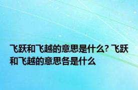 飞跃和飞越的意思是什么? 飞跃和飞越的意思各是什么