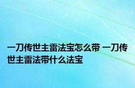 一刀传世主雷法宝怎么带 一刀传世主雷法带什么法宝