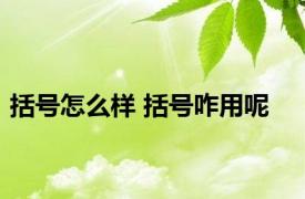 括号怎么样 括号咋用呢