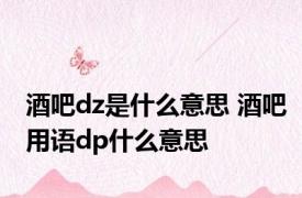 酒吧dz是什么意思 酒吧用语dp什么意思