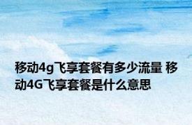 移动4g飞享套餐有多少流量 移动4G飞享套餐是什么意思