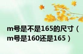 m号是不是165的尺寸（m号是160还是165）