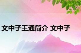 文中子王通简介 文中子 