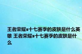 王者荣耀s十七赛季的皮肤是什么英雄 王者荣耀s十七赛季的皮肤是什么