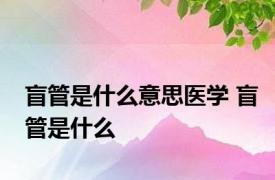 盲管是什么意思医学 盲管是什么