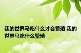 我的世界马吃什么才会繁殖 我的世界马吃什么繁殖