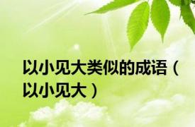 以小见大类似的成语（以小见大）