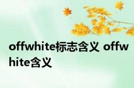 offwhite标志含义 offwhite含义