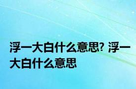 浮一大白什么意思? 浮一大白什么意思