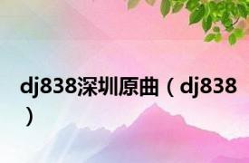 dj838深圳原曲（dj838）