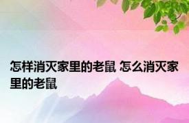 怎样消灭家里的老鼠 怎么消灭家里的老鼠