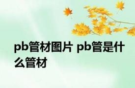 pb管材图片 pb管是什么管材