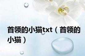 首领的小猫txt（首领的小猫）