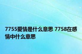 7755爱情是什么意思 7758在感情中什么意思