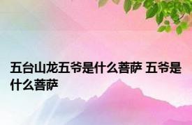 五台山龙五爷是什么菩萨 五爷是什么菩萨