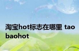 淘宝hot标志在哪里 taobaohot 