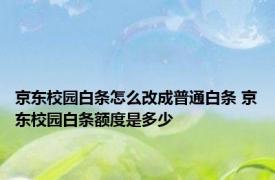 京东校园白条怎么改成普通白条 京东校园白条额度是多少