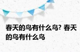 春天的鸟有什么鸟? 春天的鸟有什么鸟