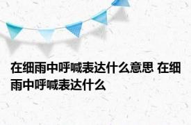 在细雨中呼喊表达什么意思 在细雨中呼喊表达什么