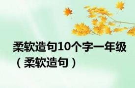 柔软造句10个字一年级（柔软造句）