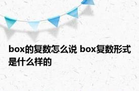 box的复数怎么说 box复数形式是什么样的