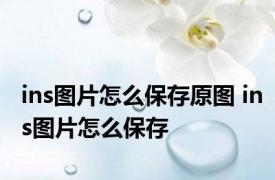 ins图片怎么保存原图 ins图片怎么保存