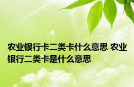 农业银行卡二类卡什么意思 农业银行二类卡是什么意思