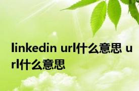 linkedin url什么意思 url什么意思 