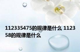 112335475的规律是什么 112358的规律是什么