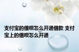 支付宝的借呗怎么开通借款 支付宝上的借呗怎么开通