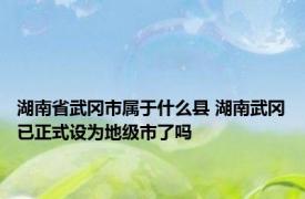 湖南省武冈市属于什么县 湖南武冈已正式设为地级市了吗