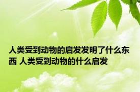 人类受到动物的启发发明了什么东西 人类受到动物的什么启发