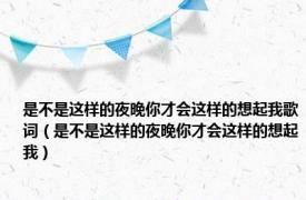 是不是这样的夜晚你才会这样的想起我歌词（是不是这样的夜晚你才会这样的想起我）