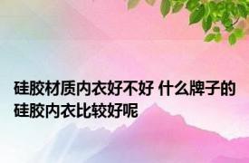 硅胶材质内衣好不好 什么牌子的硅胶内衣比较好呢