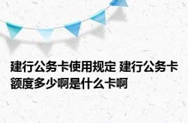 建行公务卡使用规定 建行公务卡额度多少啊是什么卡啊